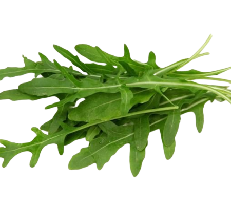 Рукола