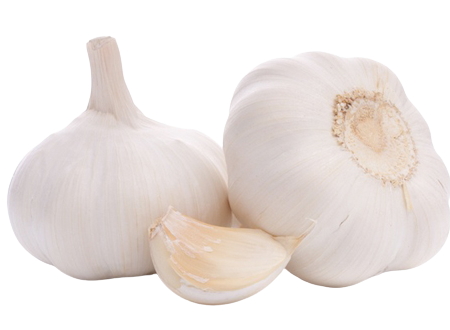 Лук