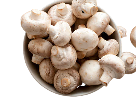 Печурки